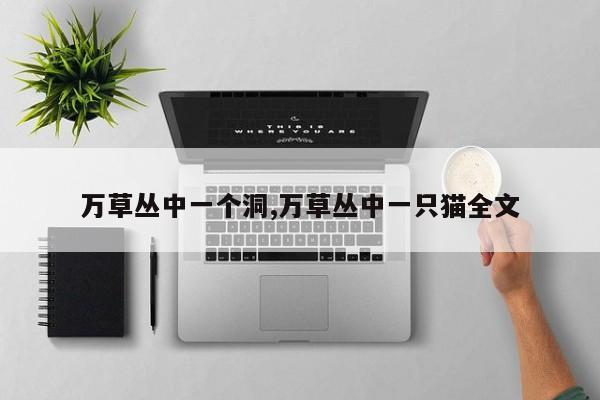 万草丛中一个洞,万草丛中一只猫全文