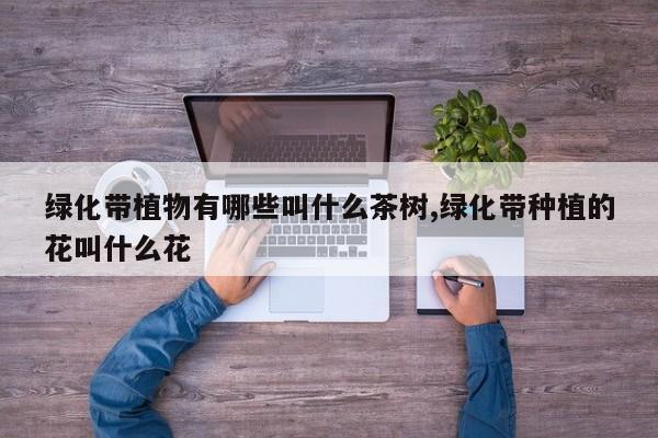 绿化带植物有哪些叫什么茶树,绿化带种植的花叫什么花
