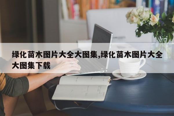 绿化苗木图片大全大图集,绿化苗木图片大全大图集下载