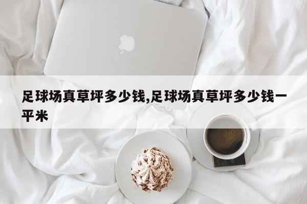 足球场真草坪多少钱,足球场真草坪多少钱一平米
