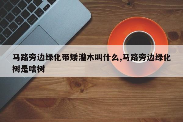 马路旁边绿化带矮灌木叫什么,马路旁边绿化树是啥树