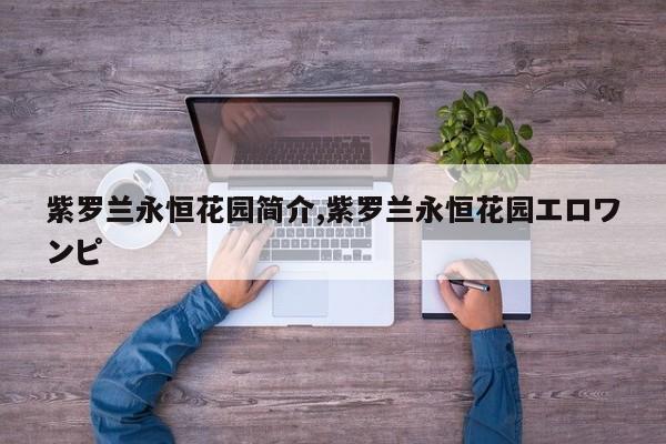 紫罗兰永恒花园简介,紫罗兰永恒花园エロワンピ