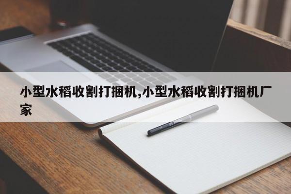 小型水稻收割打捆机,小型水稻收割打捆机厂家
