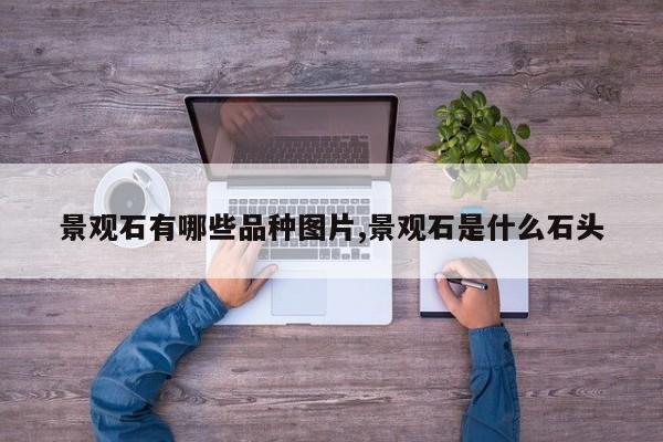 景观石有哪些品种图片,景观石是什么石头
