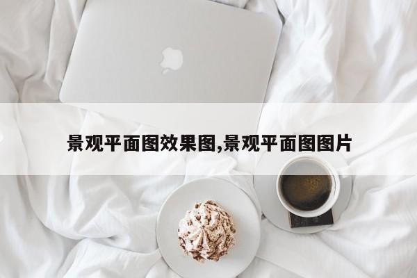 景观平面图效果图,景观平面图图片