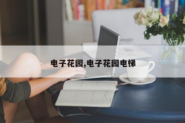 电子花园,电子花园电梯