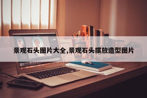 景观石头图片大全,景观石头摆放造型图片