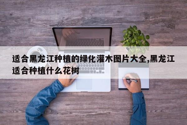 适合黑龙江种植的绿化灌木图片大全,黑龙江适合种植什么花树