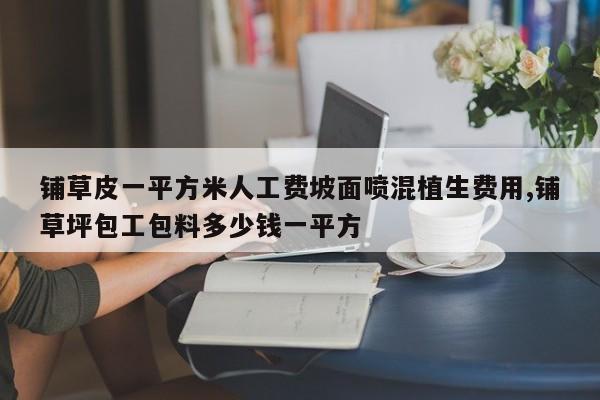铺草皮一平方米人工费坡面喷混植生费用,铺草坪包工包料多少钱一平方