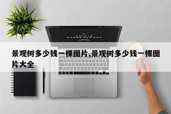 景观树多少钱一棵图片,景观树多少钱一棵图片大全